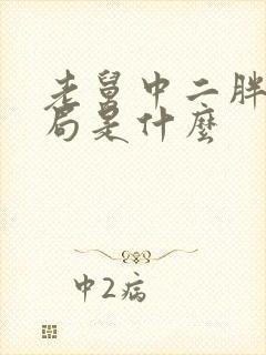 老舅中二胖的结局是什么封面