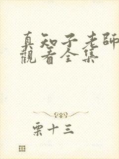 真知子老师免费观看全集