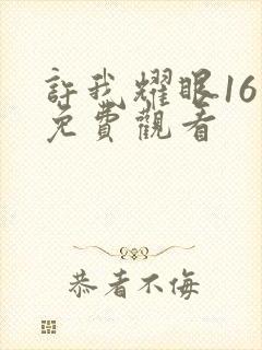 许我耀眼16集免费观看封面