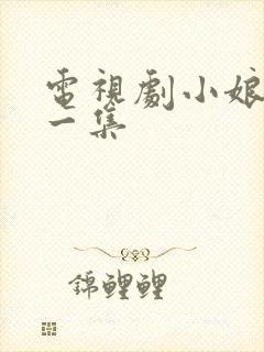 电视剧小娘惹十一集