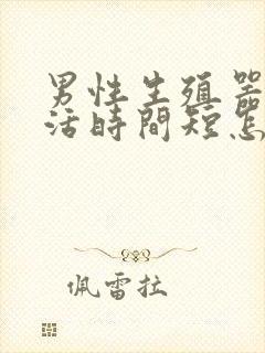 男性生殖器性生活时间短怎么办