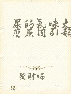 尿的气味大是什么原因引起的