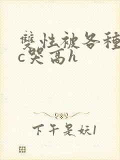 双性被各种姿势c哭高h