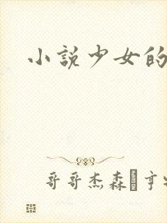 小说少女的心封面