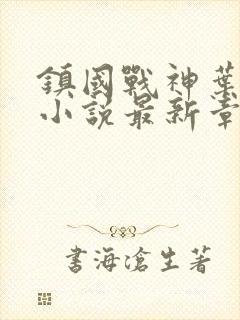 镇国战神叶君临小说最新章节