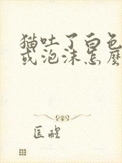 猫吐了白色黏液或泡沫怎么办