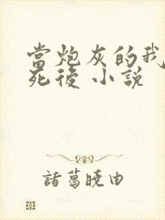 当炮灰的我替身死后 小说