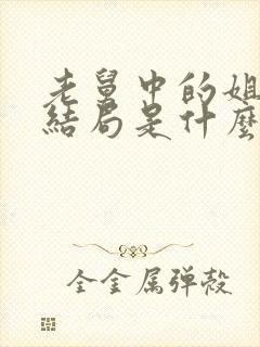 老舅中的姐姐的结局是什么