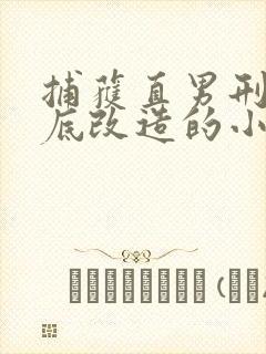 捕获直男刑警卧底改造的小说封面