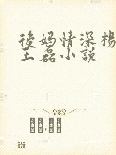 后妈情深杨晓芬王磊小说