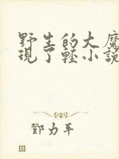 野生的大魔王出现了轻小说