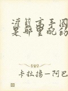 灌篮高手国语版是哪里配的音