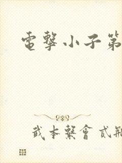 电击小子第二部