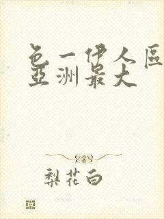 色一伊人区二区亚洲最大