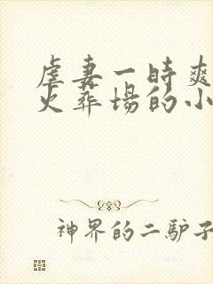 虐妻一时爽追妻火葬场的小说封面