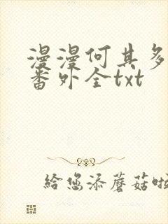 漫漫何其多暴君番外全txt