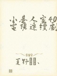 小巷人家40集电视连续剧封面