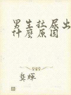 男生拉尿出血是什么原因