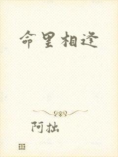 命里相逢