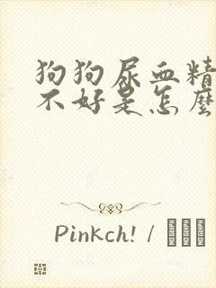 狗狗尿血精神也不好是怎么回事封面