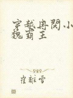 穿越冉闵小说大魏霸主