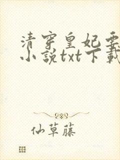 清穿皇妃要娇养小说txt下载