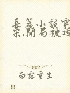 长篇小说穿越北宋,开局被迫手握重兵封面