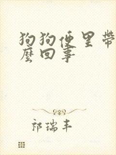 狗狗便里带血怎么回事封面