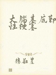 大脑基底节腔隙性梗塞封面