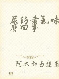 尿的黄气味大怎么回事