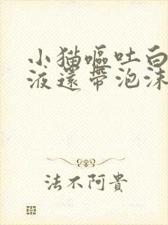 小猫呕吐白色粘液还带泡沫不吃东西