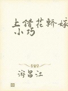 上错花轿嫁对郎 小巧