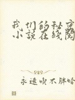 我们的秘密原著小说在线阅读