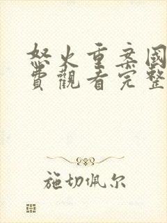 怒火重案国语免费观看完整版电影