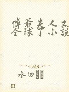 傅爷夫人又惊艳全球了小说免费看封面