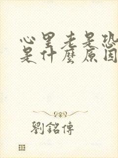 心里老是恐惧感是什么原因封面