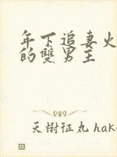 年下追妻火葬场的双男主封面