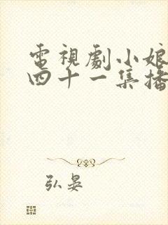 电视剧小娘惹第四十一集播放封面