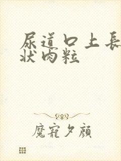 尿道口上长菜花状肉粒