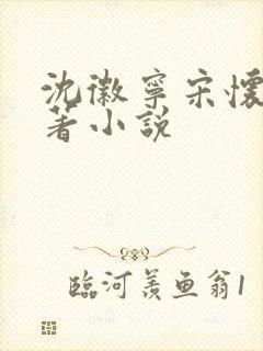 沈徽宁宋怀砚原著小说