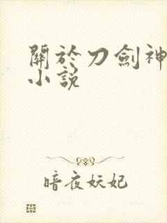 关于刀剑神域的小说封面