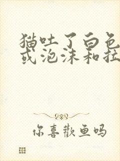 猫吐了白色黏液或泡沫和拉稀