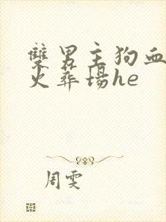 双男主狗血追妻火葬场he