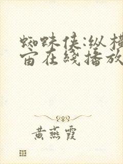 蜘蛛侠:纵横宇宙在线播放国语免费