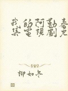 我的阿勒泰第8集电视剧免费观看