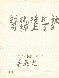 离职后我被前上司缠上了》