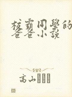 校霸同学的痞坏爸爸小说