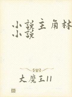 小说主角林枫的小说