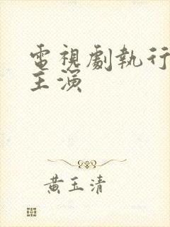 电视剧执行法官主演