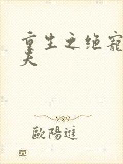 重生之绝宠小娇夫